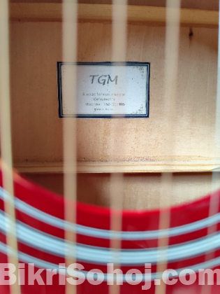 TGM guitar